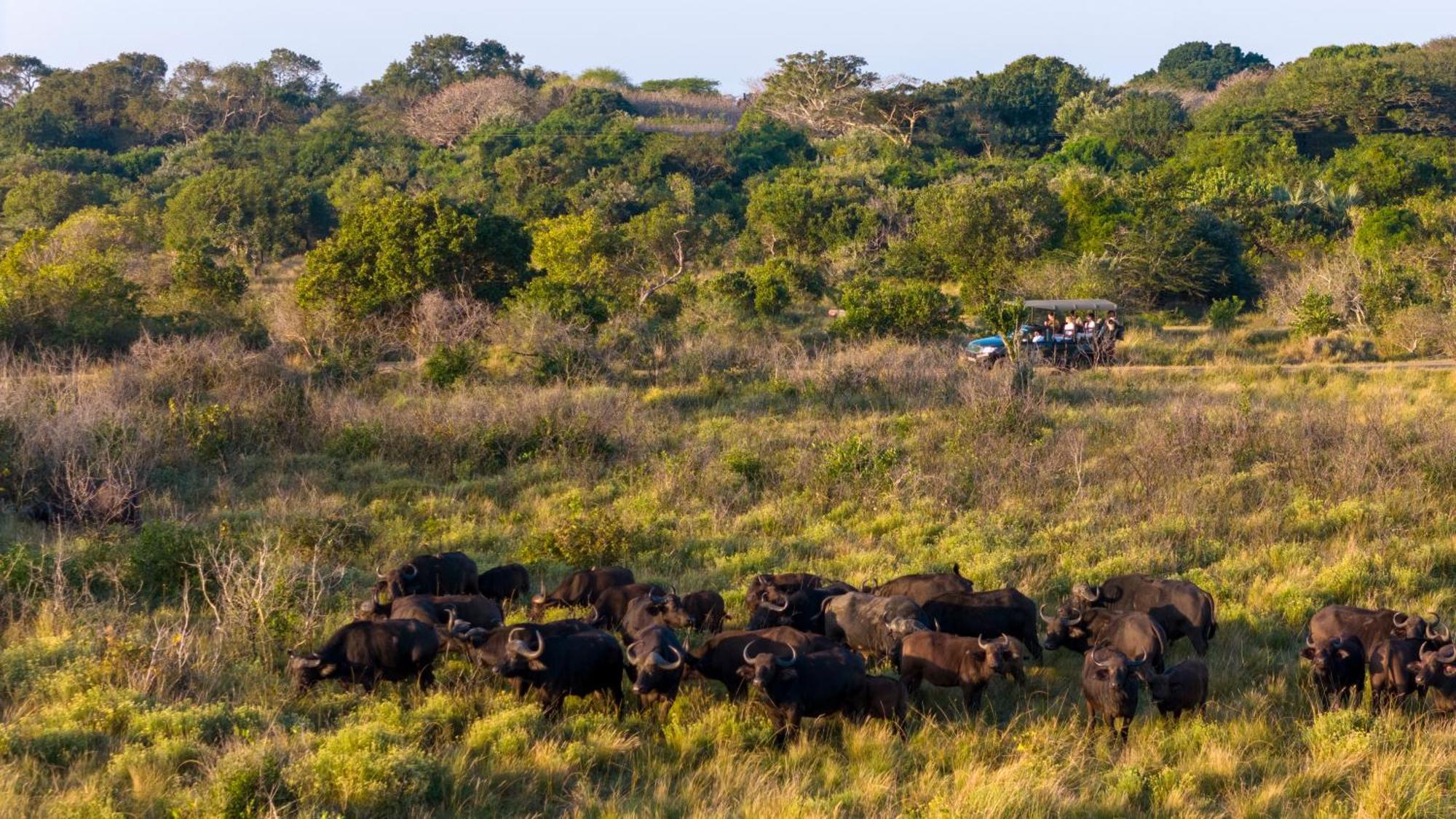 Makakatana Bay Lodge เซนต์ลูเซีย ภายนอก รูปภาพ